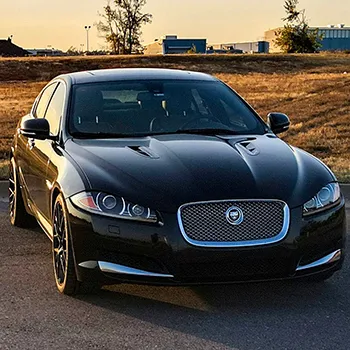 Jaguar in Nashville, TN