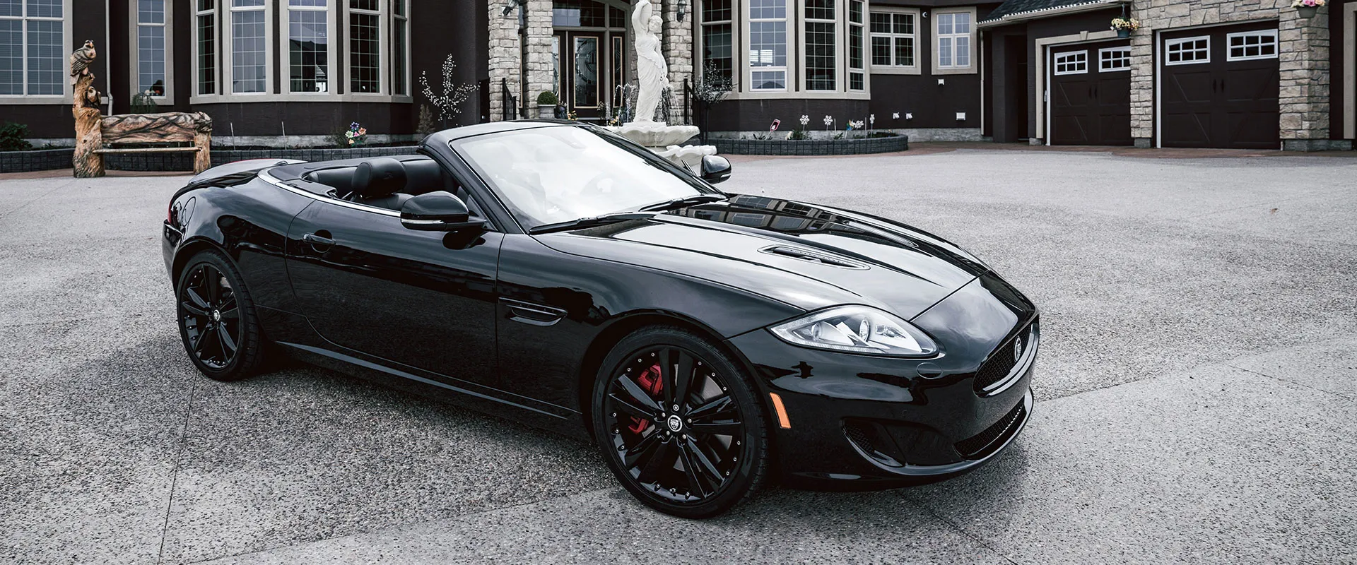 Jaguar near Nashville, TN